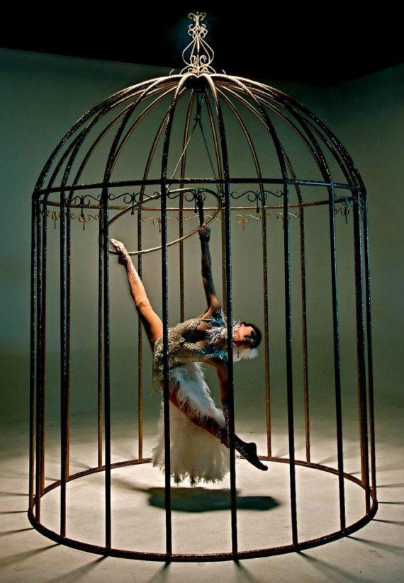 Bird in cage performance in Dubai
