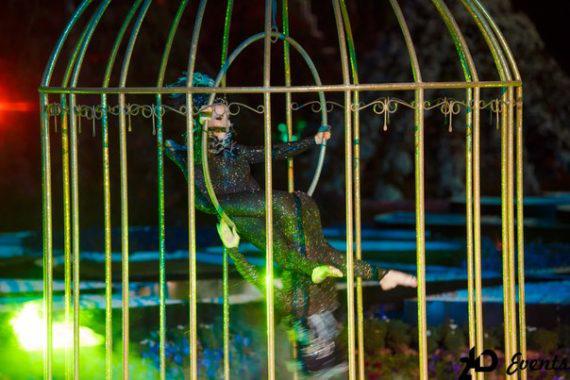 Stage show birds in a cage in Dubai