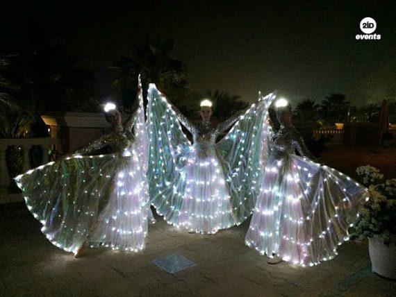 LED butterflies performance in Dubai