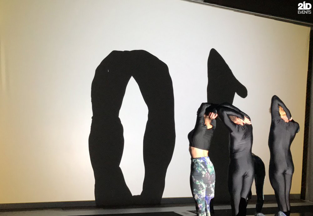 18 1 - SHADOW SHOW FOR PUBLIC EVENT
