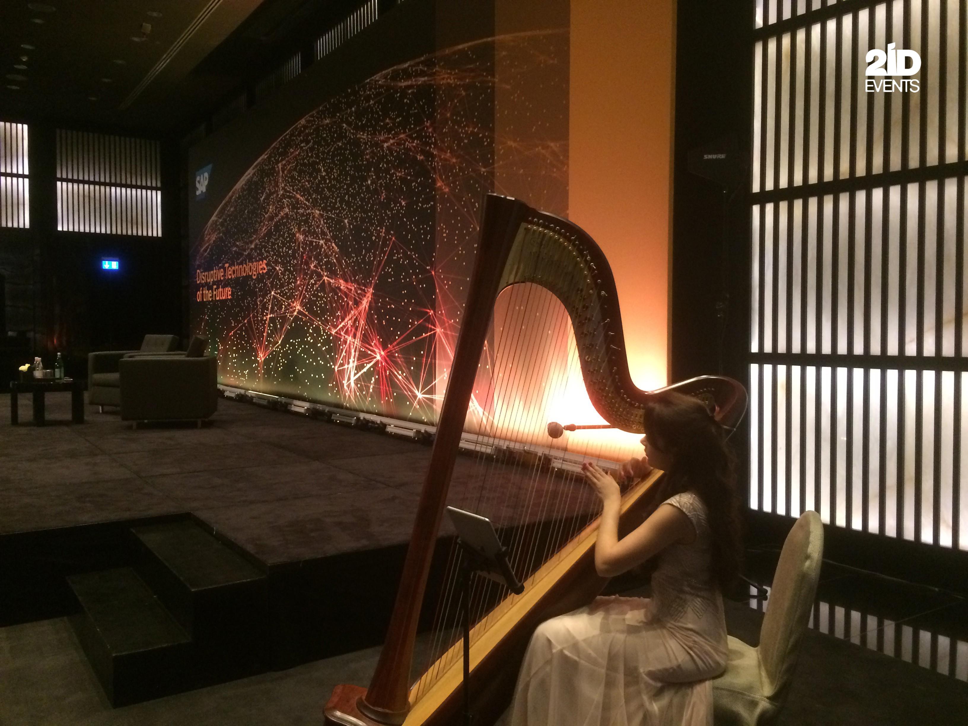 HARP PLAYER FOR CORPORATE EVENT