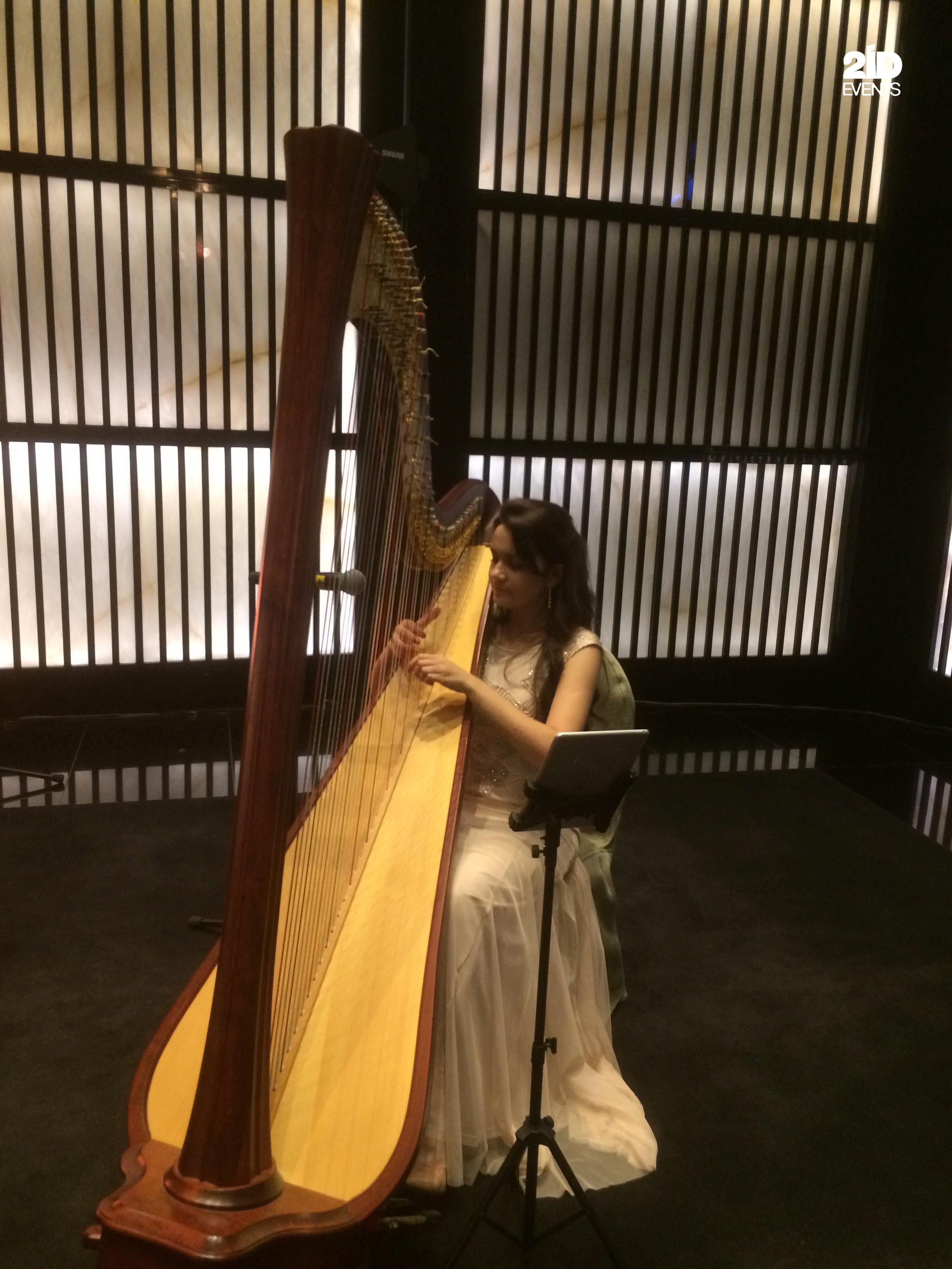 HARP PLAYER FOR CORPORATE EVENT
