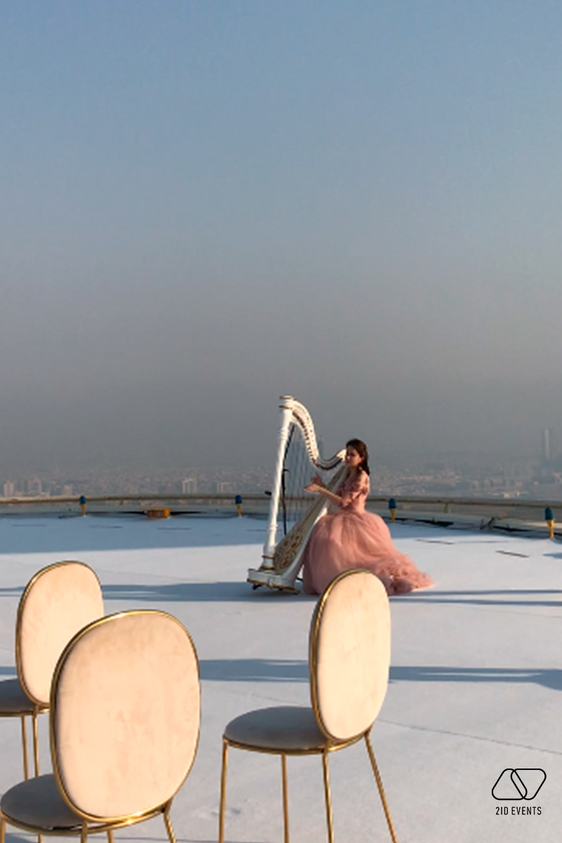 HARP PLAYER FOR THE WEDDING RECEPTION HARP PLAYER FOR THE WEDDING RECEPTION 4 - HARP PLAYER FOR THE WEDDING RECEPTION